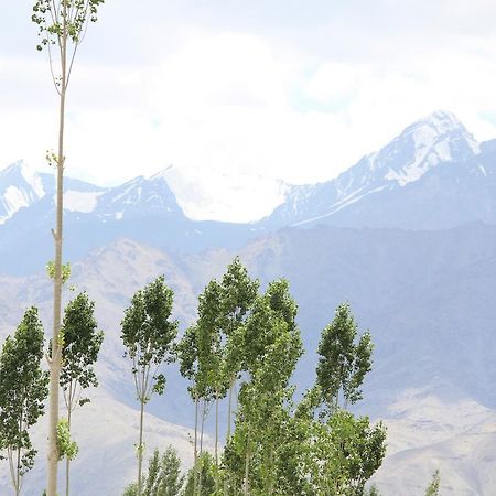 Hotel Kasdar Ladakh Leh Exteriör bild