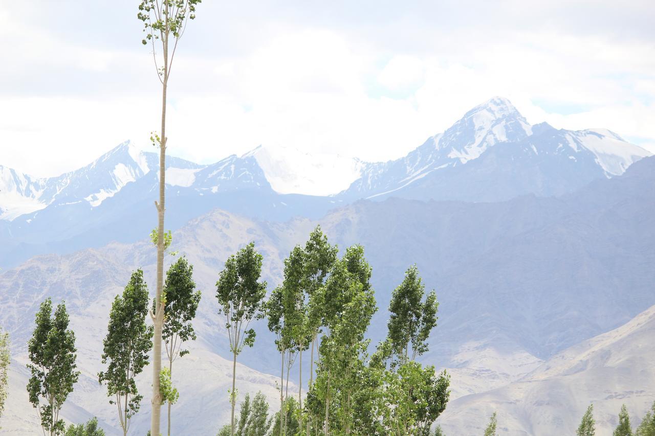 Hotel Kasdar Ladakh Leh Exteriör bild